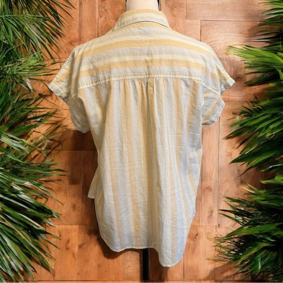 PATAGONIA Women’s Lightweight A/C® Shirt - Cali Stripe: Isla Yellow - XS - Picture 5 of 16